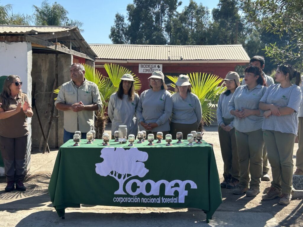 CONAF RM lanza el Programa de Arborización Urbana para las comunas de las provincias de Melipilla y Talagante