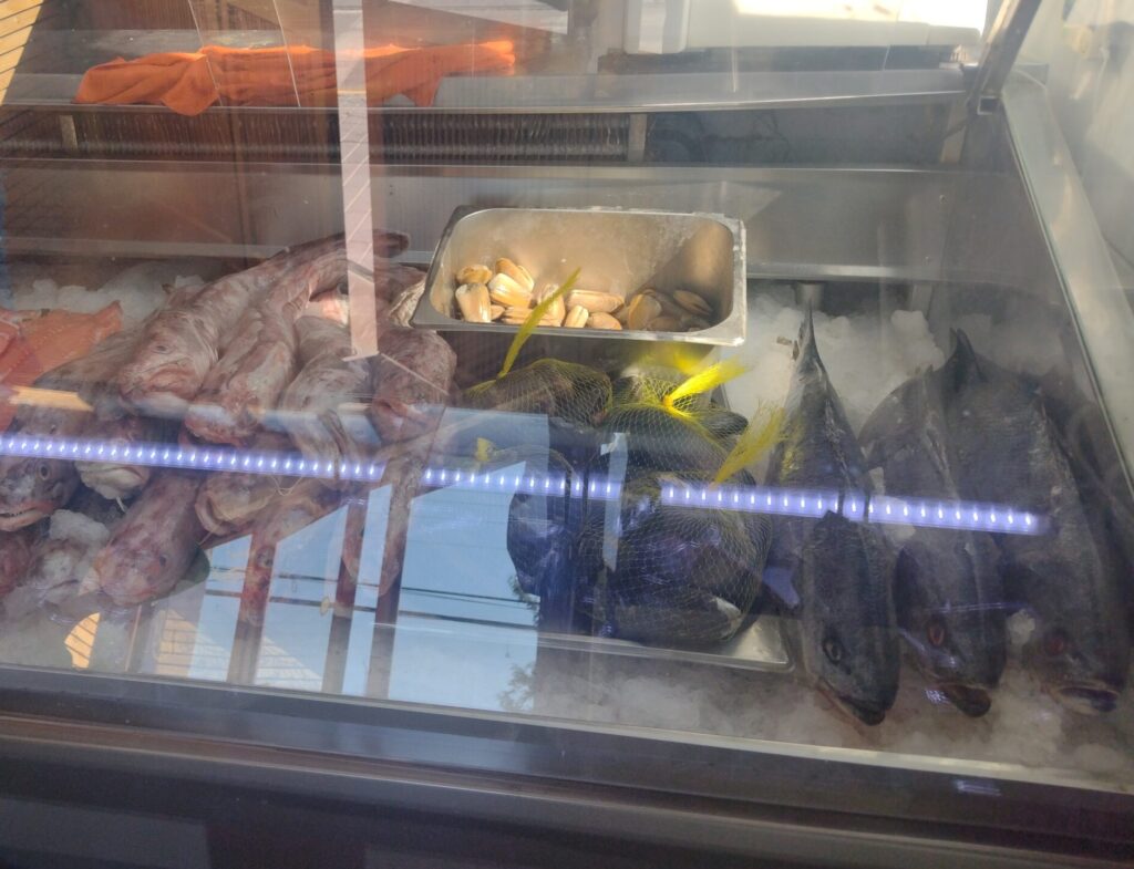 Recorrimos algunas pescaderías de Melipilla