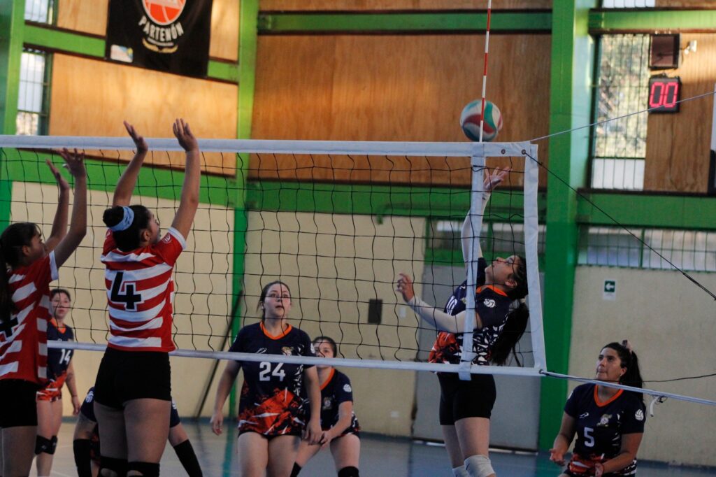 Resultados 1ª Fecha Liga de Voleibol Municipal