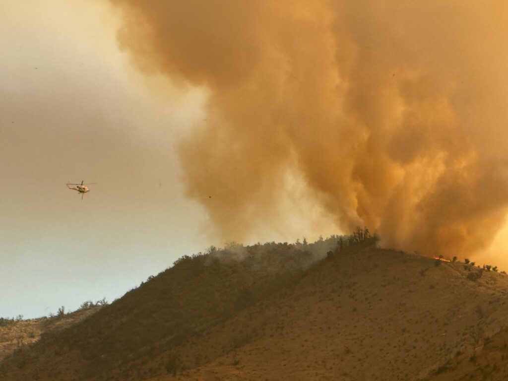 Alerta Amarilla y cerca de 250 hectáreas afectadas por Incendio Forestal en sector Santa Filomena