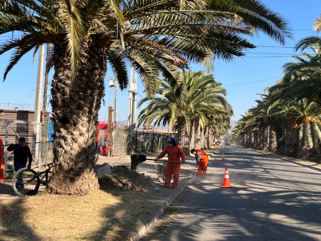 Continúan operativos de limpieza y hermoseamiento de la comuna