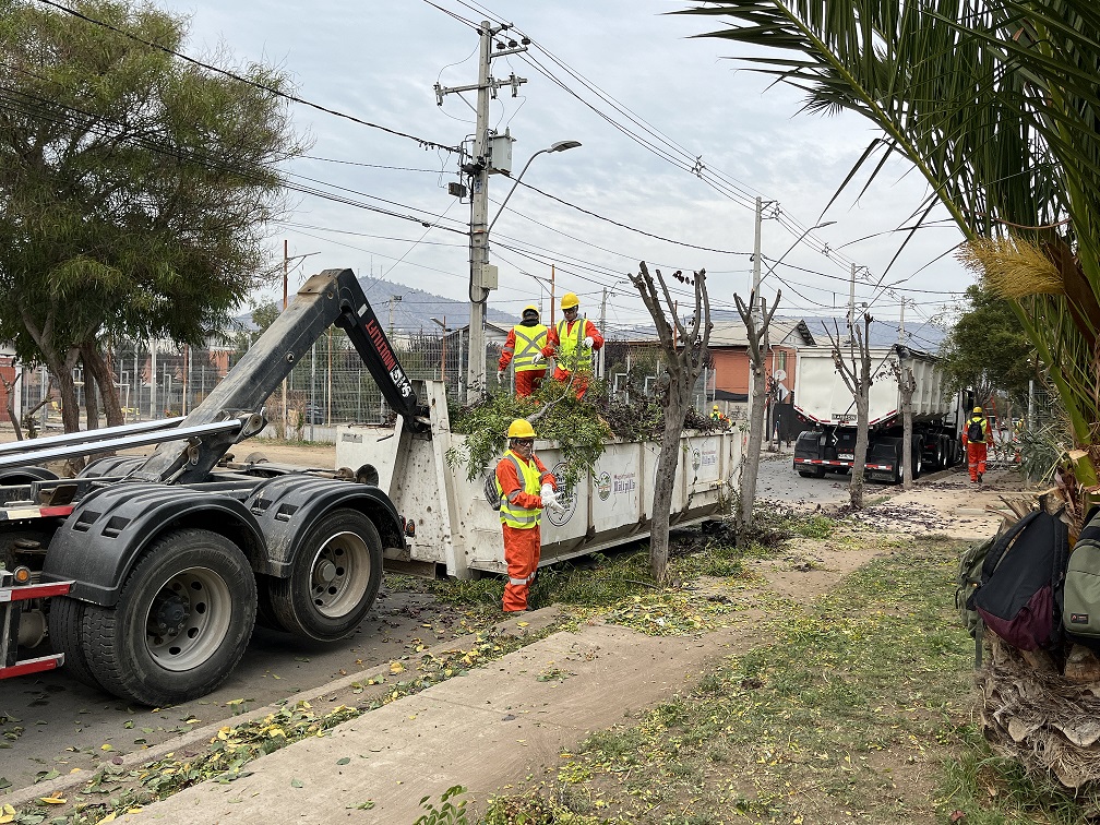 Municipalidad de Melipilla ejecuta plan de poda para prevenir riesgos en temporada invernal