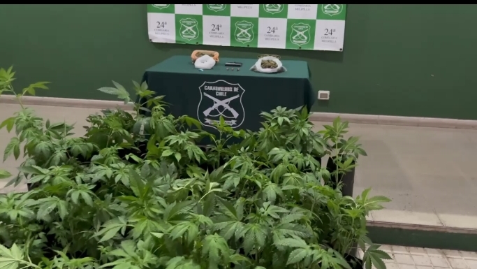 Detienen a menor de edad tras incautación de drogas y municiones en operativo en sector El Bajo