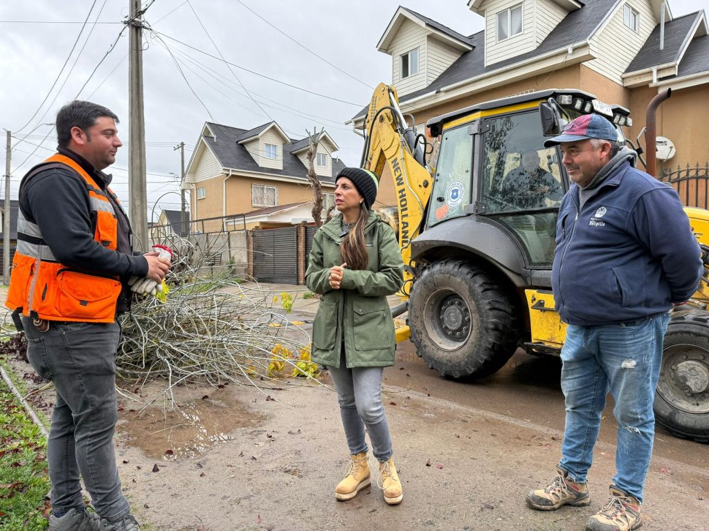 Sistema frontal: Caídas de árboles y cortes de energía entre principales incidencias