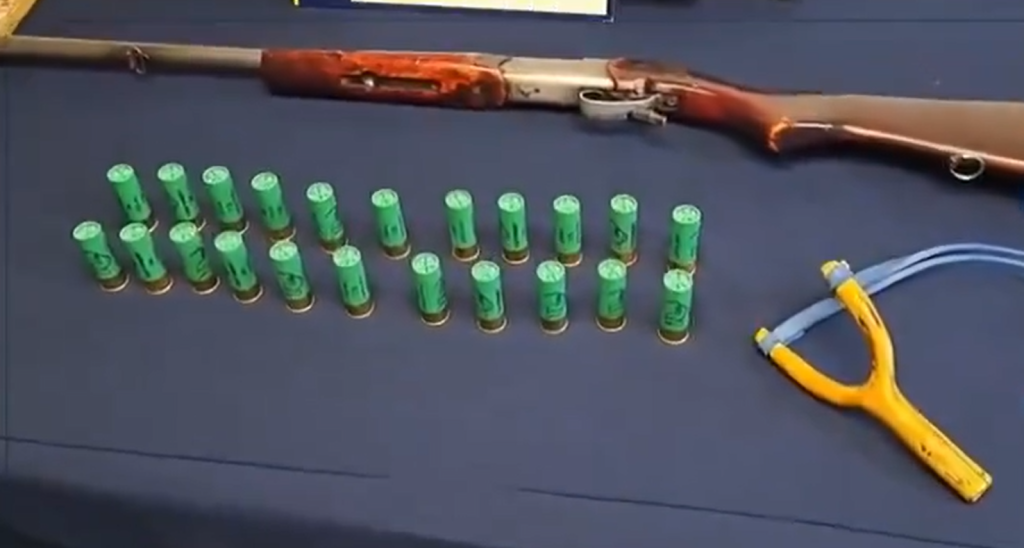 Brutal caso de maltrato animal en El Monte: hombre es detenido por dar muerte a un gato y poseer armas no registradas