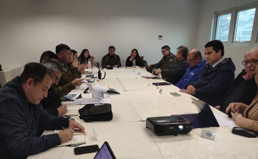 STOP de Carabineros destaca positivos resultados en la provincia de Melipilla: cerca de 300 detenidos en operativos recientes