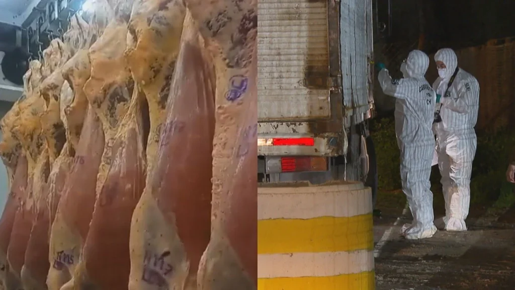 San Antonio: Fiscalía avanza en la investigación del asalto a camión con carga de carne en Ruta 78