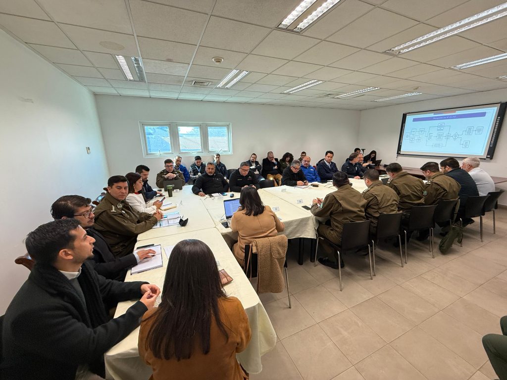 Delegación Presidencial Provincial participó en nueva sesión del Sistema Táctico Operativo Policial de Carabineros