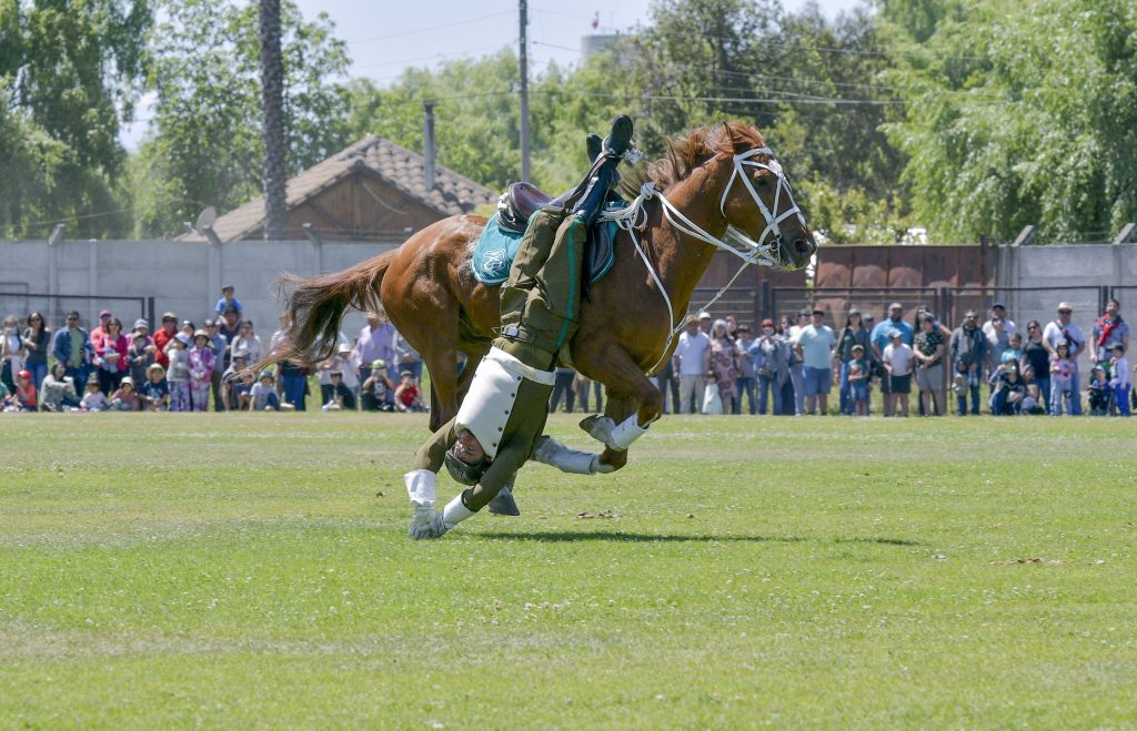 Accidente en presentación del Cuadro Verde interrumpe espectáculo en Parque Padre Hurtado