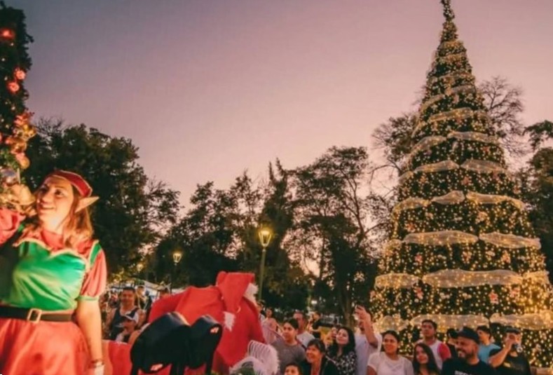 ¿Lujo innecesario? Árbol de Navidad por $76 millones sacude a Buin. Concejal RN: “Si el árbol tiene efectivamente ese valor, lógicamente lo rechazaría”
