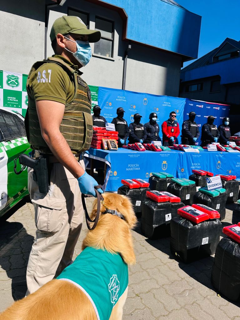 Operación “Independencia”: Incautan 850 kilos de marihuana en el Puerto de San Antonio